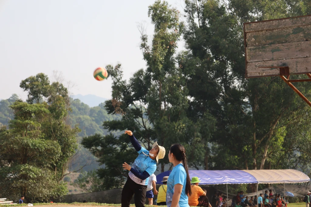catalogs_file_713_18_1_331795.webp